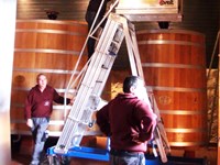 Ladder for barrels and wine tanks