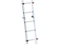 Jakobsmuschel mit Streuer