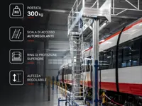 Bahnsteig mit selbstnivellierfähiger Leiter