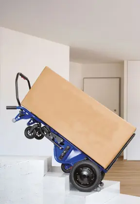 Elektrischer Treppenkletterwagen D-Light 250