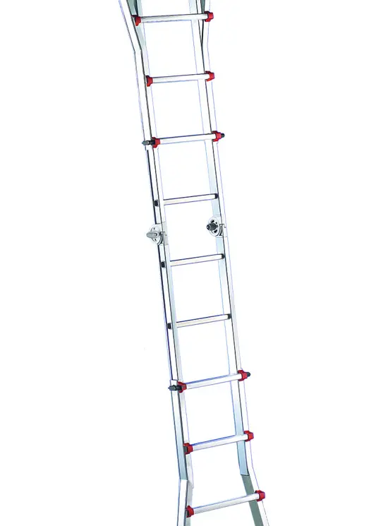 Jakobsmuschel mit Streuer