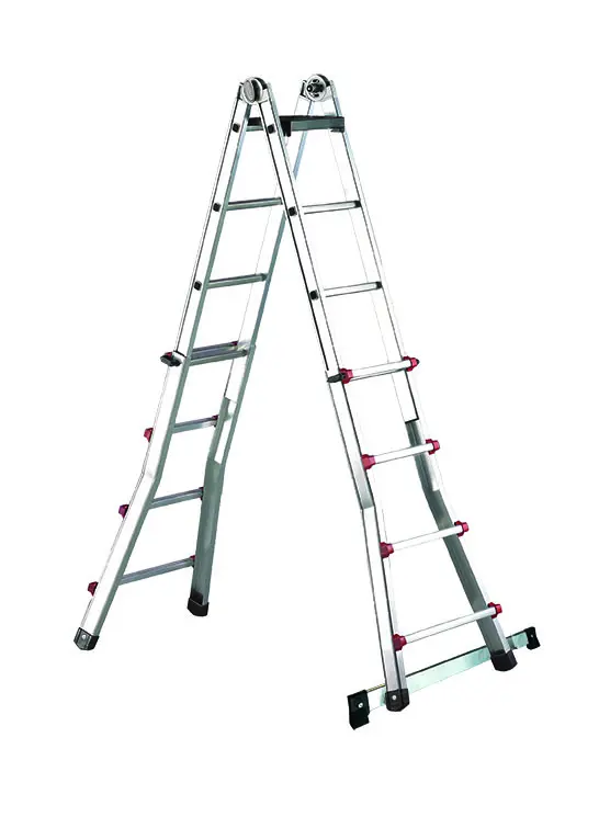 Jakobsmuschel mit Streuer