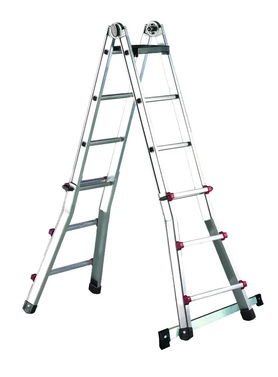 Jakobsmuschel mit Streuer