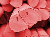 FIBRASAFE FSA Post