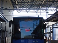 Special facilities for buses and coaches