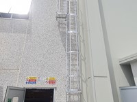 Hooped vertical ladder (Self system)