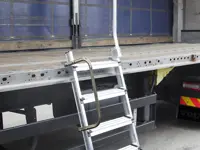 Truck access ladder