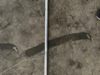 Glass lifter Express 200 S