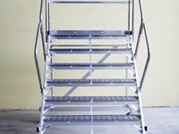 Coach access ladder 