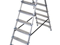 Ladder Bobo Plus