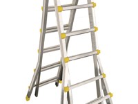 Telestar telescopic ladder