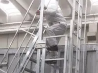 Telescopic ladder for access to containers