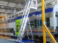 Tank ladder