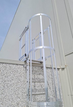 Hooped vertical ladder (Self system)