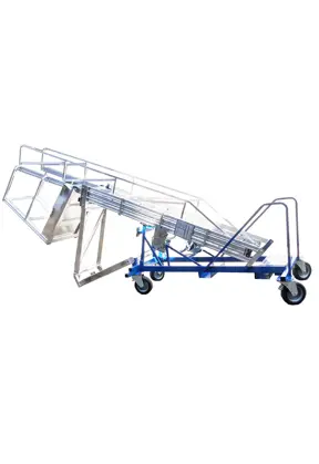 Tank ladder