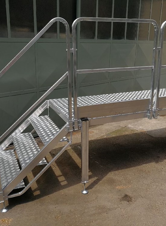Telescopic ladder for access to containers