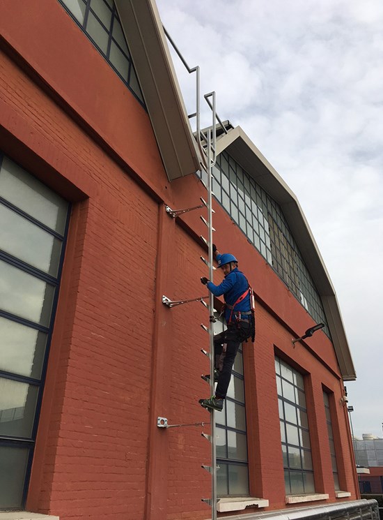 Fixed ladder with rail and fall protection