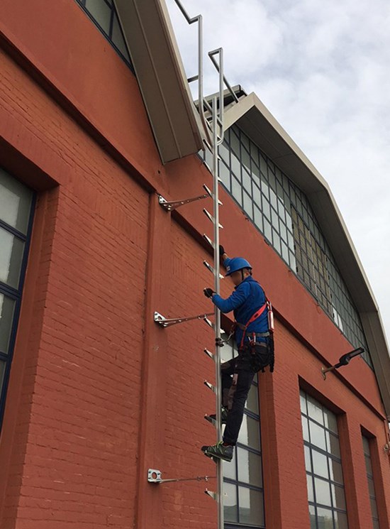 Fixed ladder with rail and fall protection