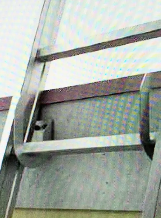 Wall-mounted ladder hook