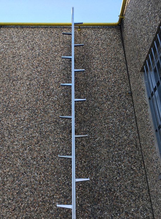 Fixed ladder with rail and fall protection