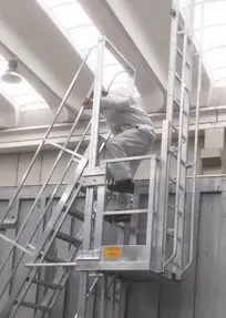 Telescopic ladder for access to containers