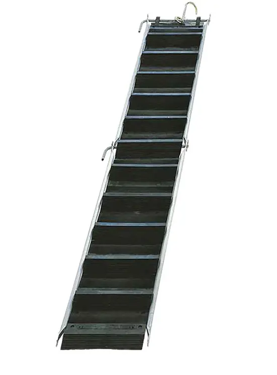 Rubber ladder for roofs and roofs