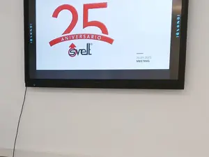 Convención en Sevilla: celebramos los 25 años de SVELT con nuestros representantes del sur