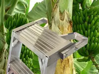 CANARIA -  Escalera de un tramo para la poda de árboles y arbustos