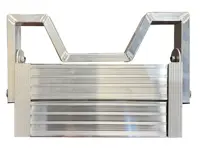 CANARIA -  Escalera de un tramo para la poda de árboles y arbustos