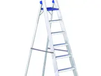 REGINA PLUS - CON GUARDACUERPOS