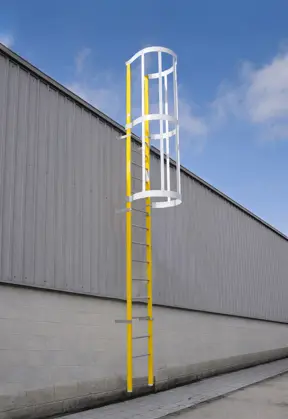 GABBIA DE FIBRA - FIBRA... - Escala vertical fija de fibra de vidrio aislante...