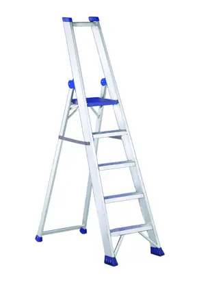 REGINA PLUS - CON GUARDACUERPOS