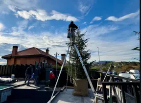 FELINA: Plataforma telescópica multifunción