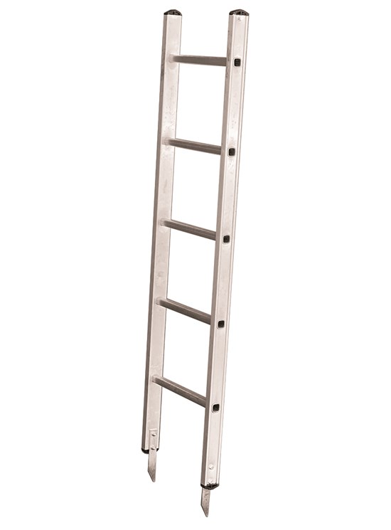 Poda -  Escalera de un tramo para la poda de árboles y arbustos