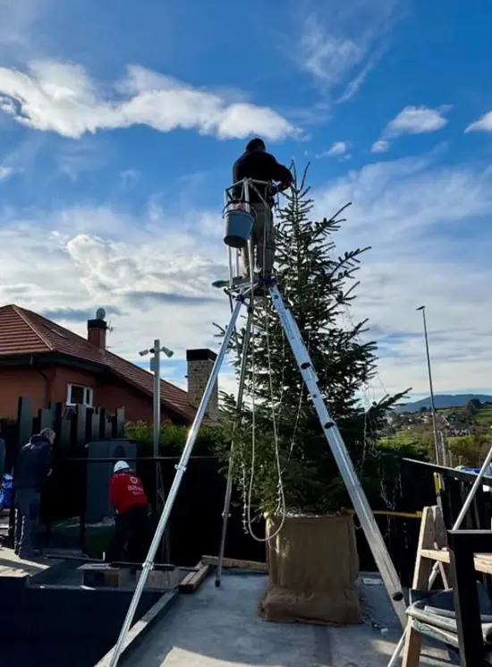 FELINA: Plataforma telescópica multifunción