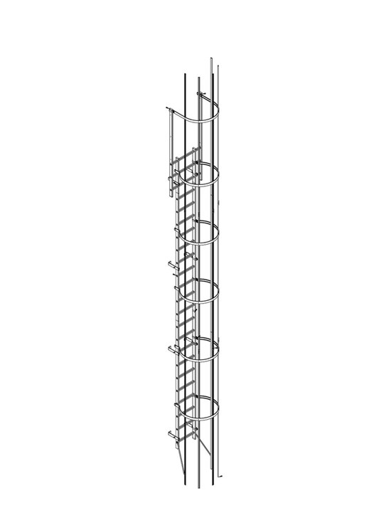 Gabbia - Escalera de gato con aros de protección