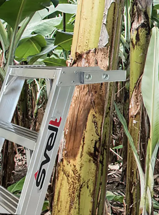 CANARIA -  Escalera de un tramo para la poda de árboles y arbustos