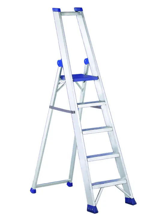 REGINA PLUS - CON GUARDACUERPOS