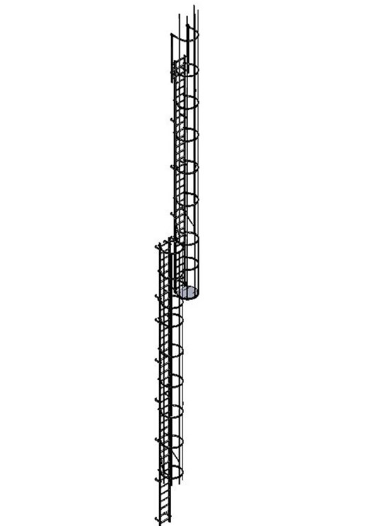 Gabbia - Escalera de gato con aros de protección