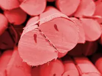 FIBRASAFE FSA (autoportant)