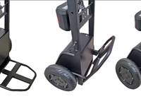 Carrello Elettrico Saliscale D-Light