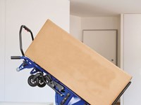 Carrello Elettrico Saliscale D-Light 250