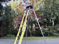 RAPTOR FIBRA