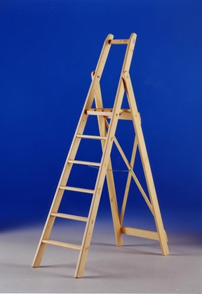 S2 scala legno professionale con parapetto
