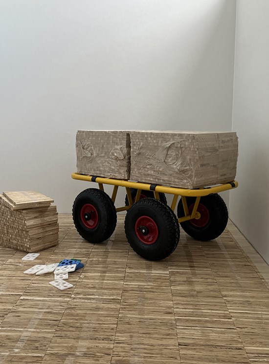 Carrello Rover