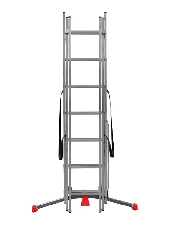 REGOLO 3