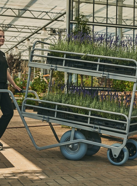 Carrello per vivai e florovivaisti 2 pianali