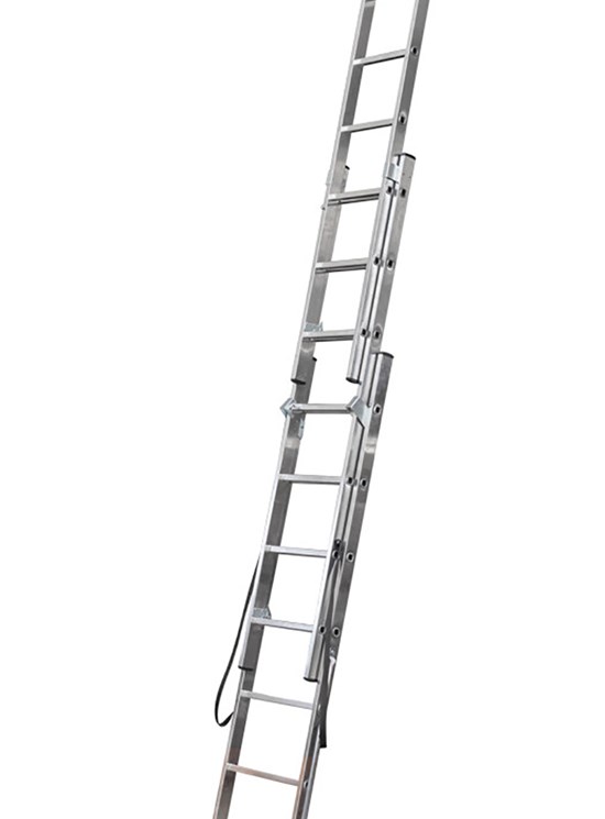 REGOLO 3