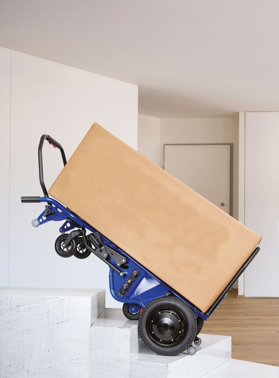 Carrello Elettrico Saliscale D-Light 250