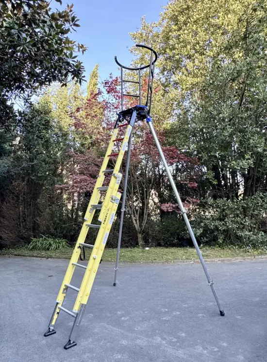 RAPTOR FIBRA